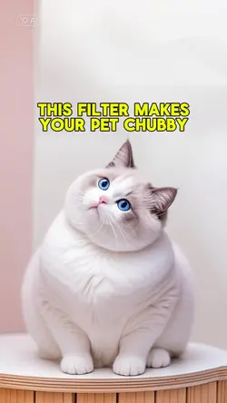 Fat pet AI Effect 