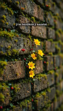 te hizdikim ji kezeb