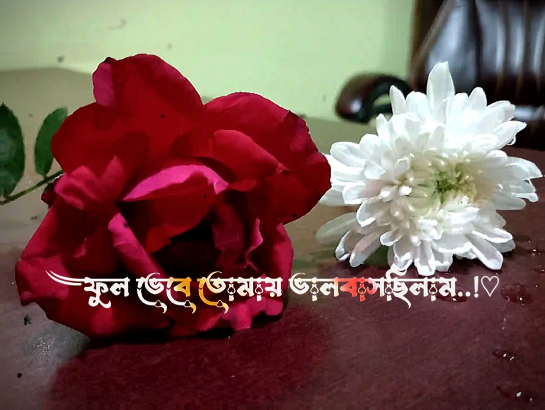 ফুল ভেবে তোমাকে ভালো