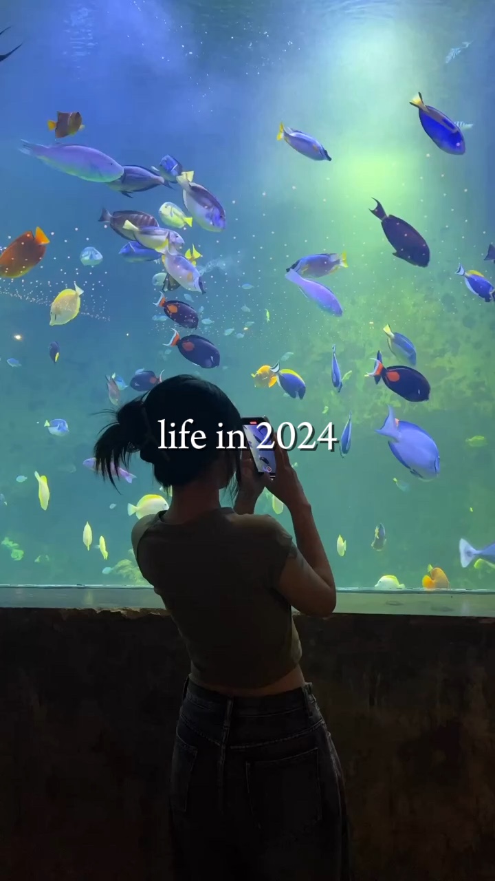 Vida em 2024