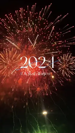 2024 digital diaries