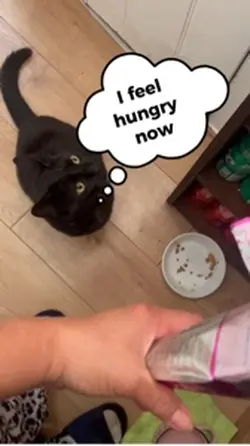 I fell hungry 