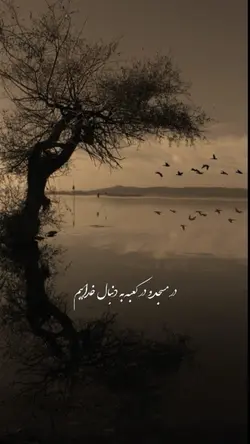 در مسجد و در کعبه