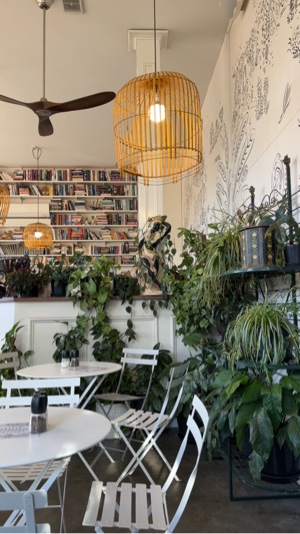 Plantilla de café 
