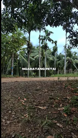 ghindu endung 