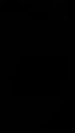Wutheringwave 120fps