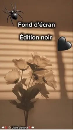 Fond d’écran noir 