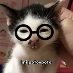 ini poto poto yang 