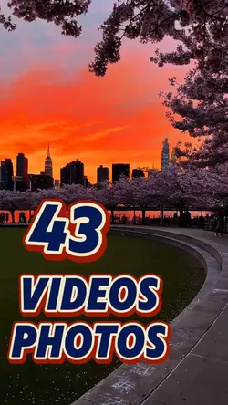43 video or photo 