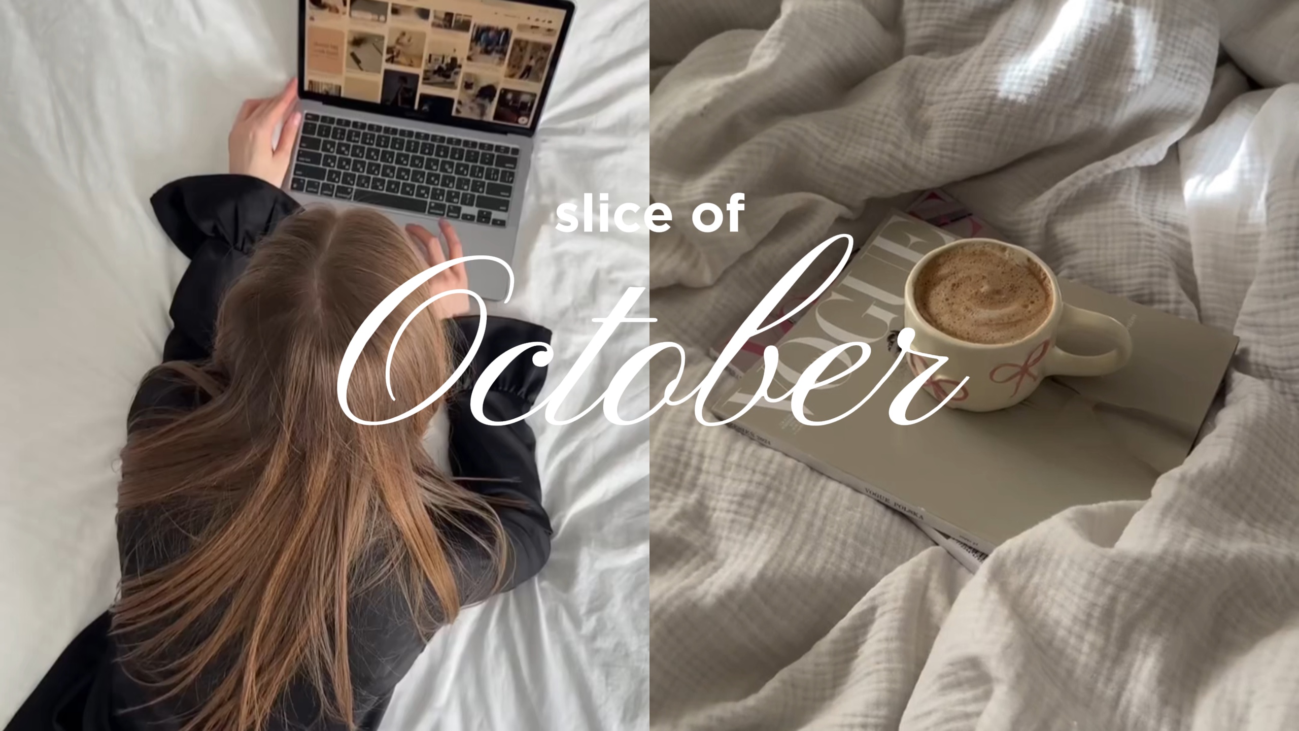 intro du vlog 
