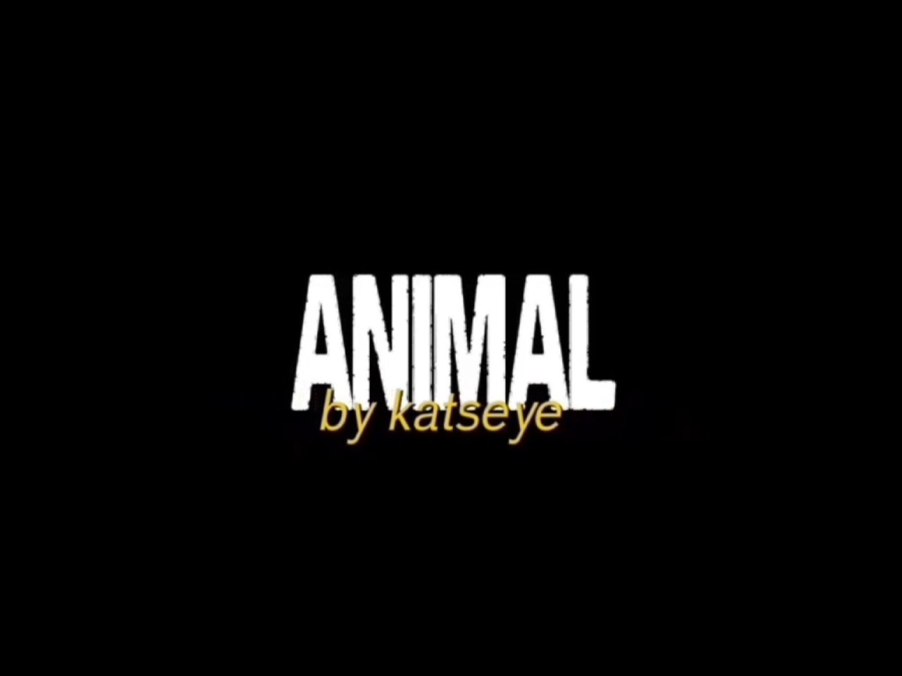 animal katseye