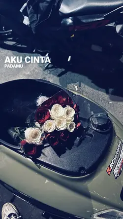 aesthetic