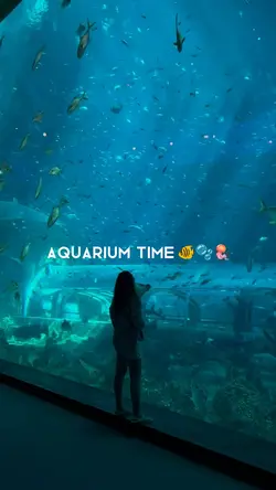 aquarium time