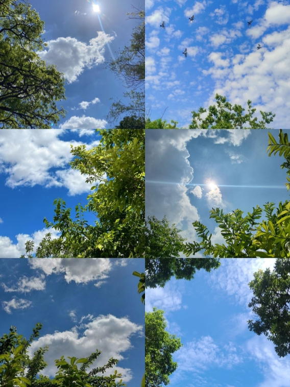 6 photo sunset 