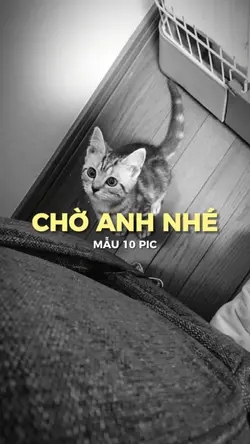 [10] CHỜ ANH NHÉ