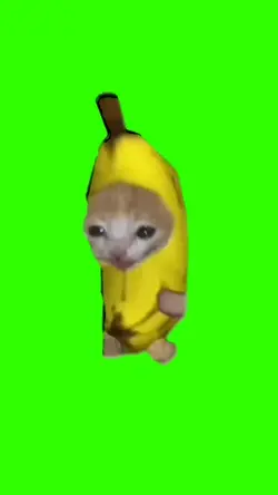 Chat Banane :]