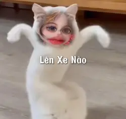 Mèo Nhảy CuTe