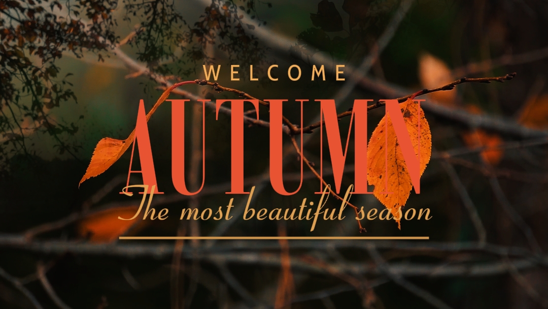 ROMANTIC SEASON 