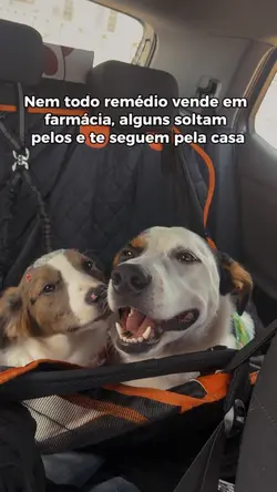 Remédio pet