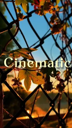 CINEMATIC 5 CLIPS