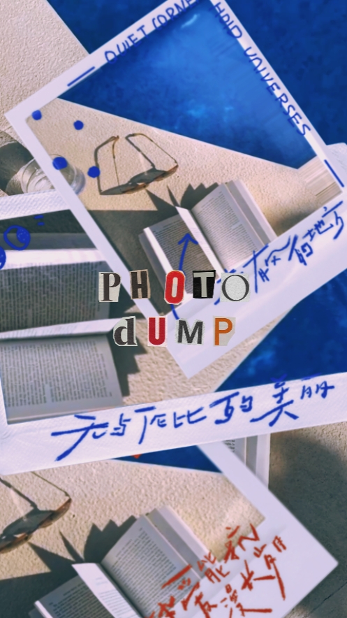 사진 덤프