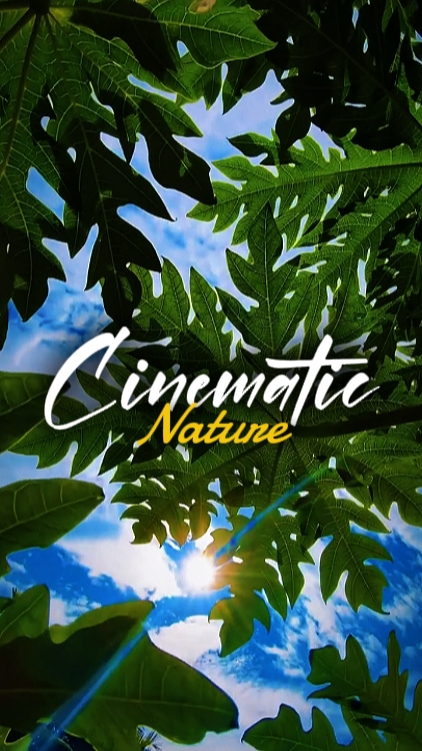 4 videos cinematic
