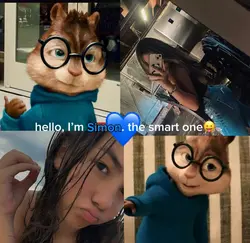 🐿️🐿️🐿️💙❤️💚