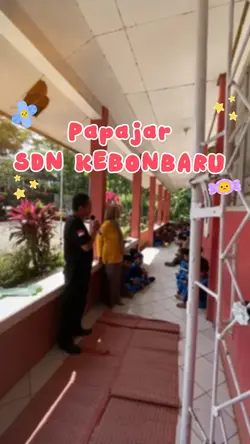 video edit|mini vlog