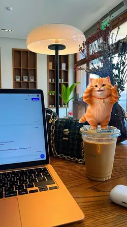 kucing oyen