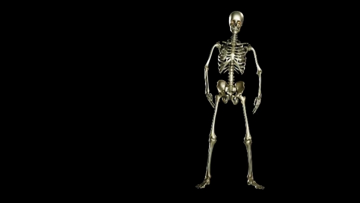 dancing skeleton