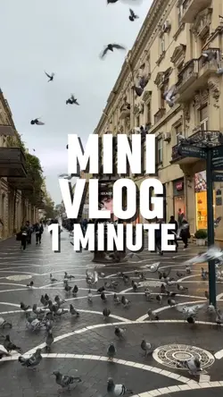 1minute vlog 