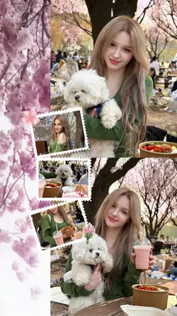 storygram