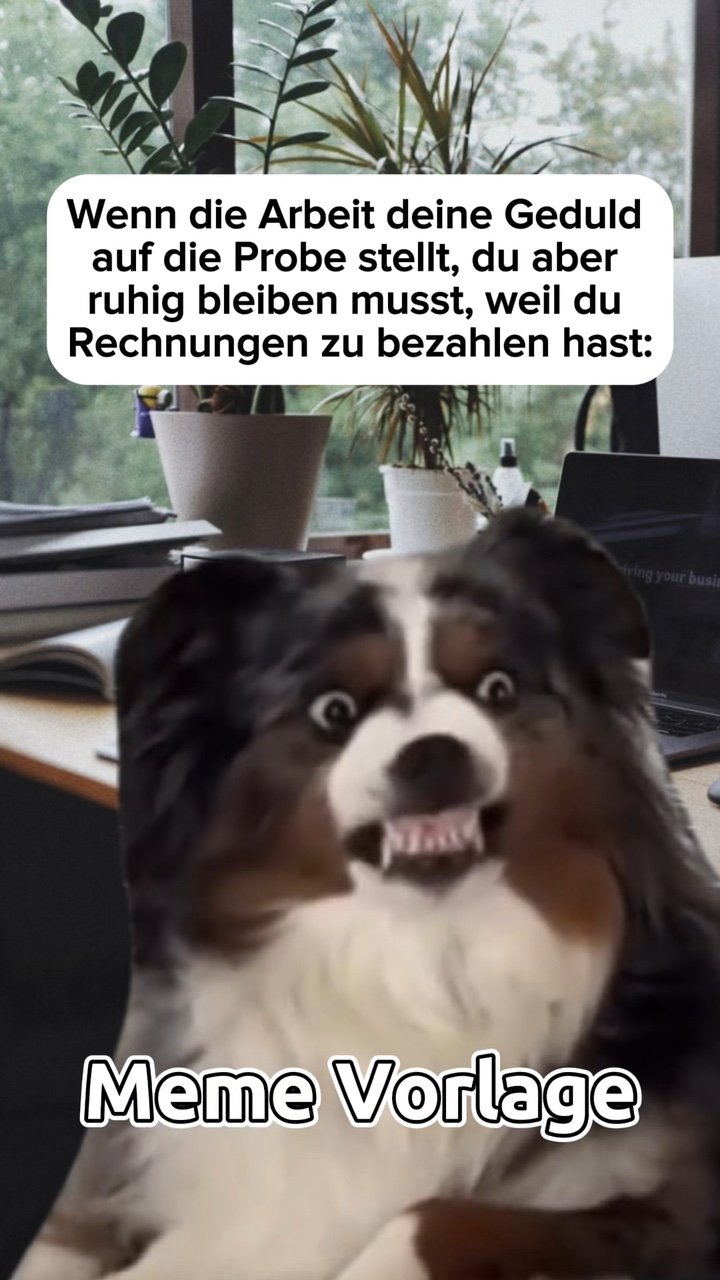 WORK meme 