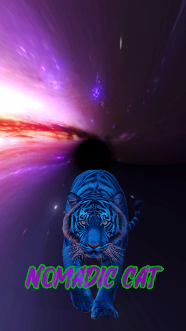 GATO NOMÁDICO