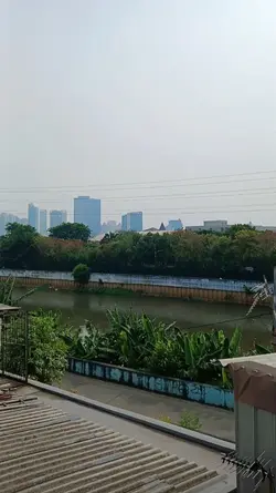 aesthetic view