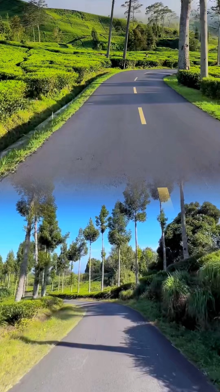 road trip kolase