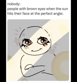 brown eyes in th sun