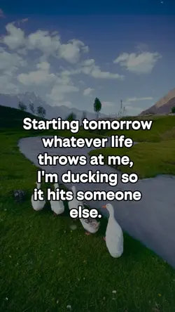 Starting tomorrow