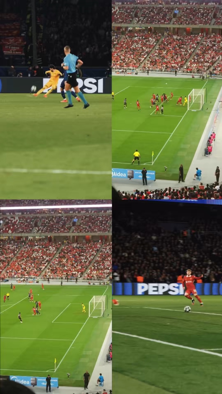 Fútbol
