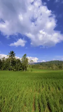Lihat Langit