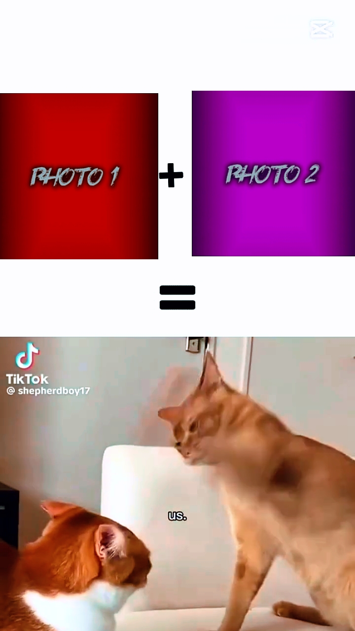 Prueba esta plantilla 
