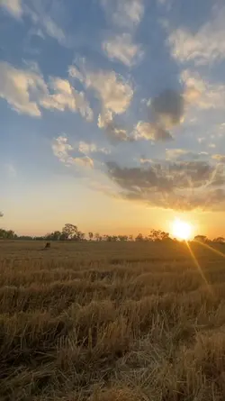 ไลฟ์โฟโต้