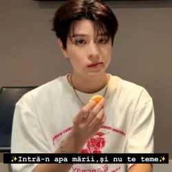 skz romanian 2
