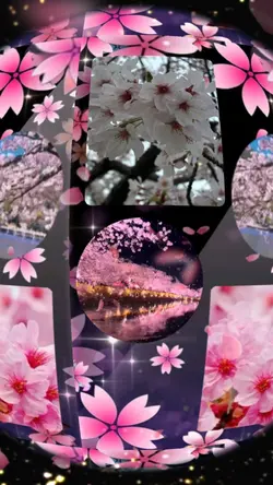 桜🌸