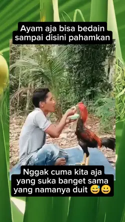 TEMPLATE VIDEO VIRAL