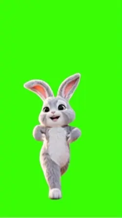 Rabbit/Coelho 