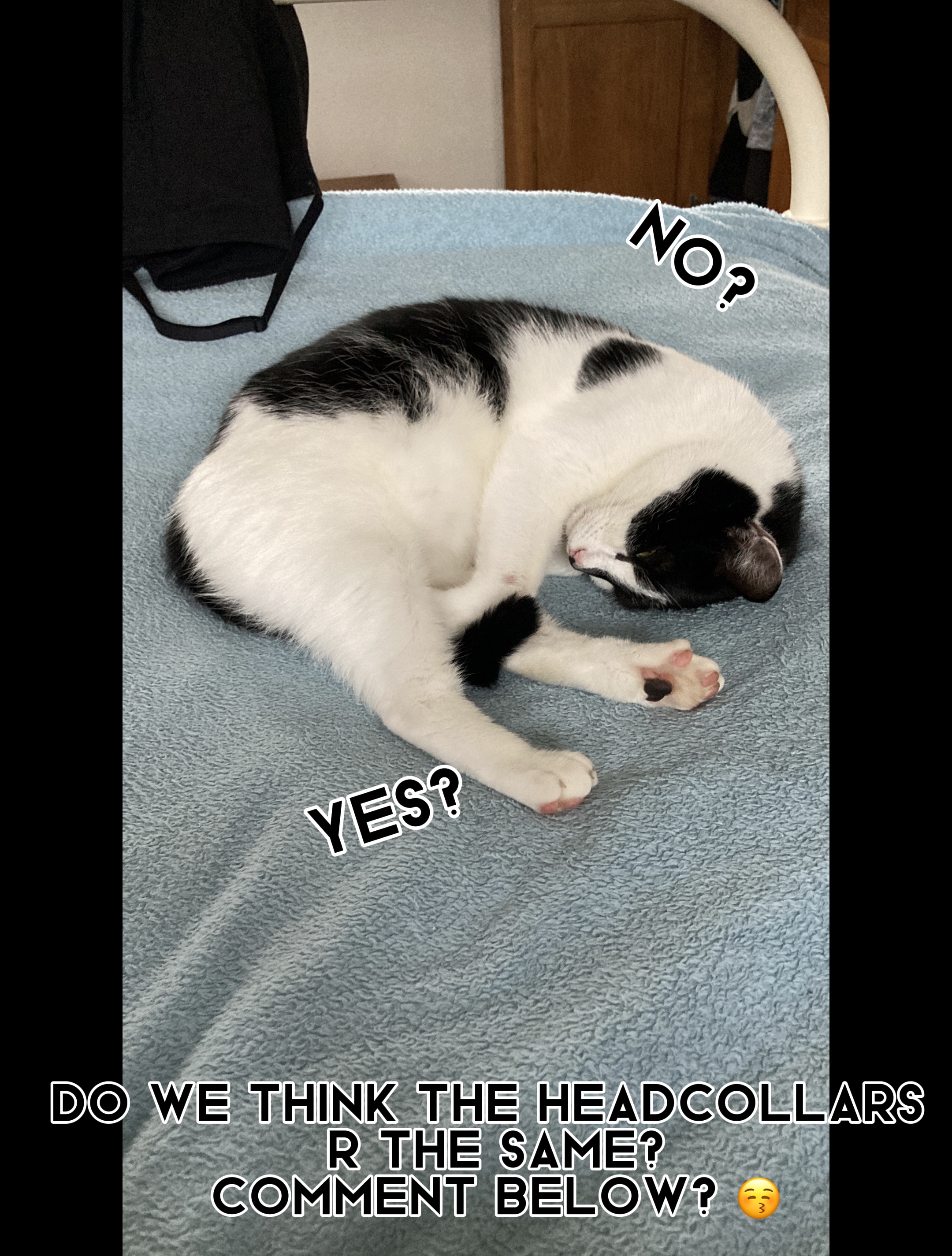 Spot the difference: