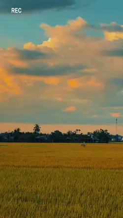 Chill Bình Yên & Mau