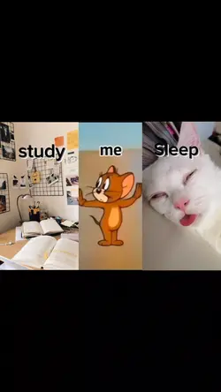study or sleep :v
