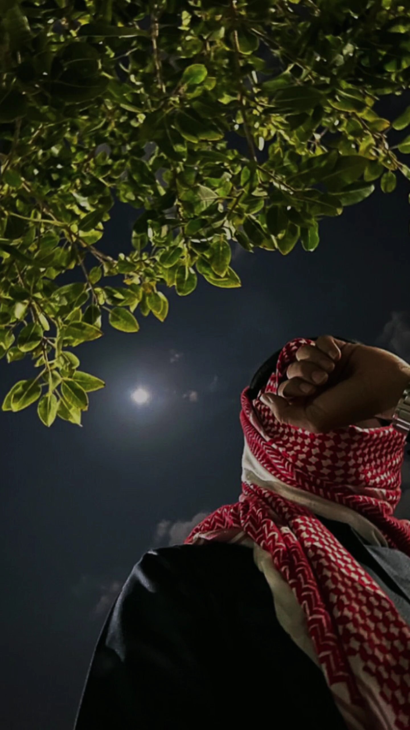 لصوت بحسابي تيك توك 